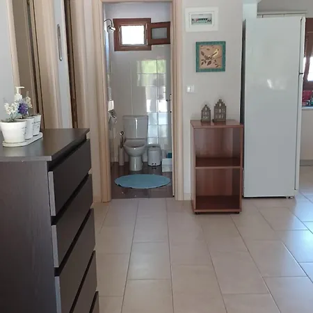 Eleni's House